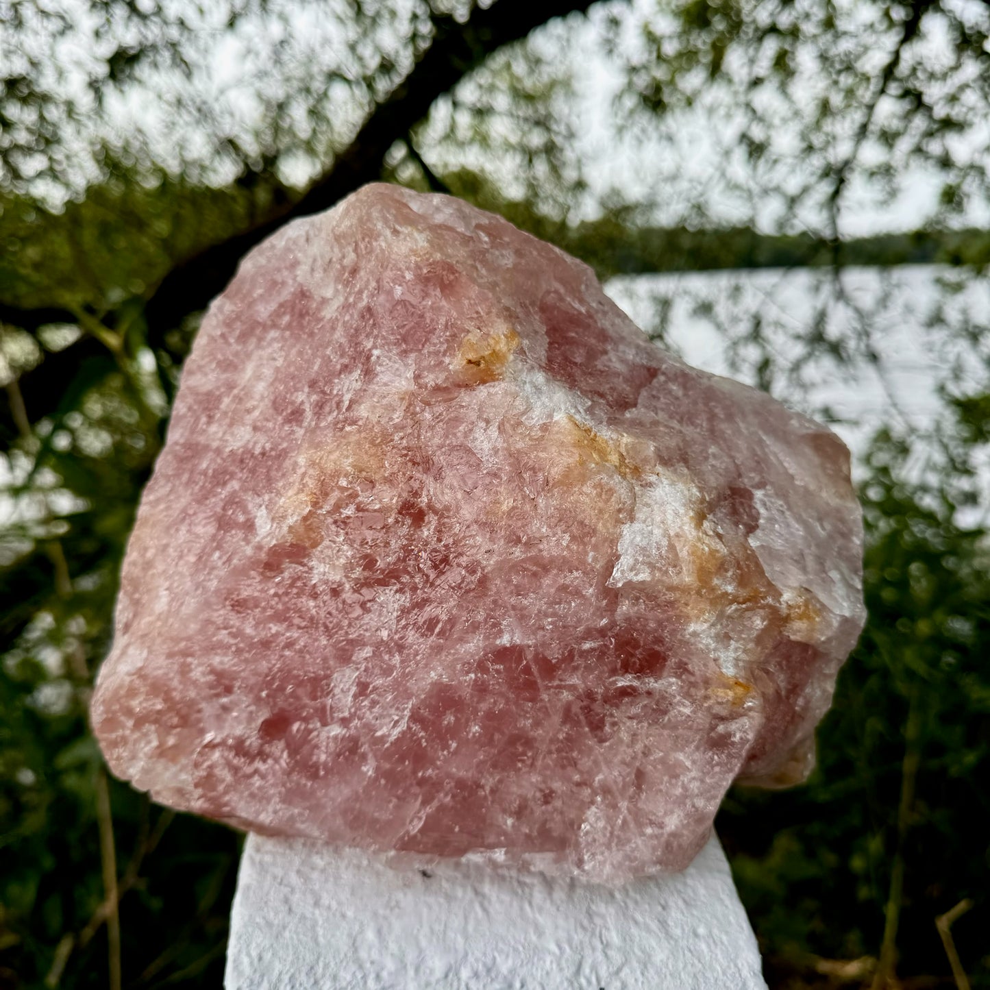 Giant Rose Quartz Rough Crystal