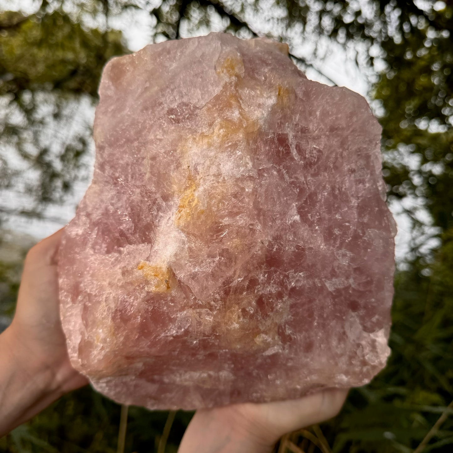 Giant Rose Quartz Rough Crystal