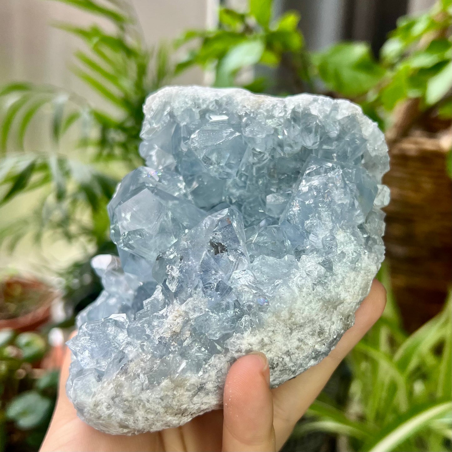 Celestite High Grade Cluster 818g