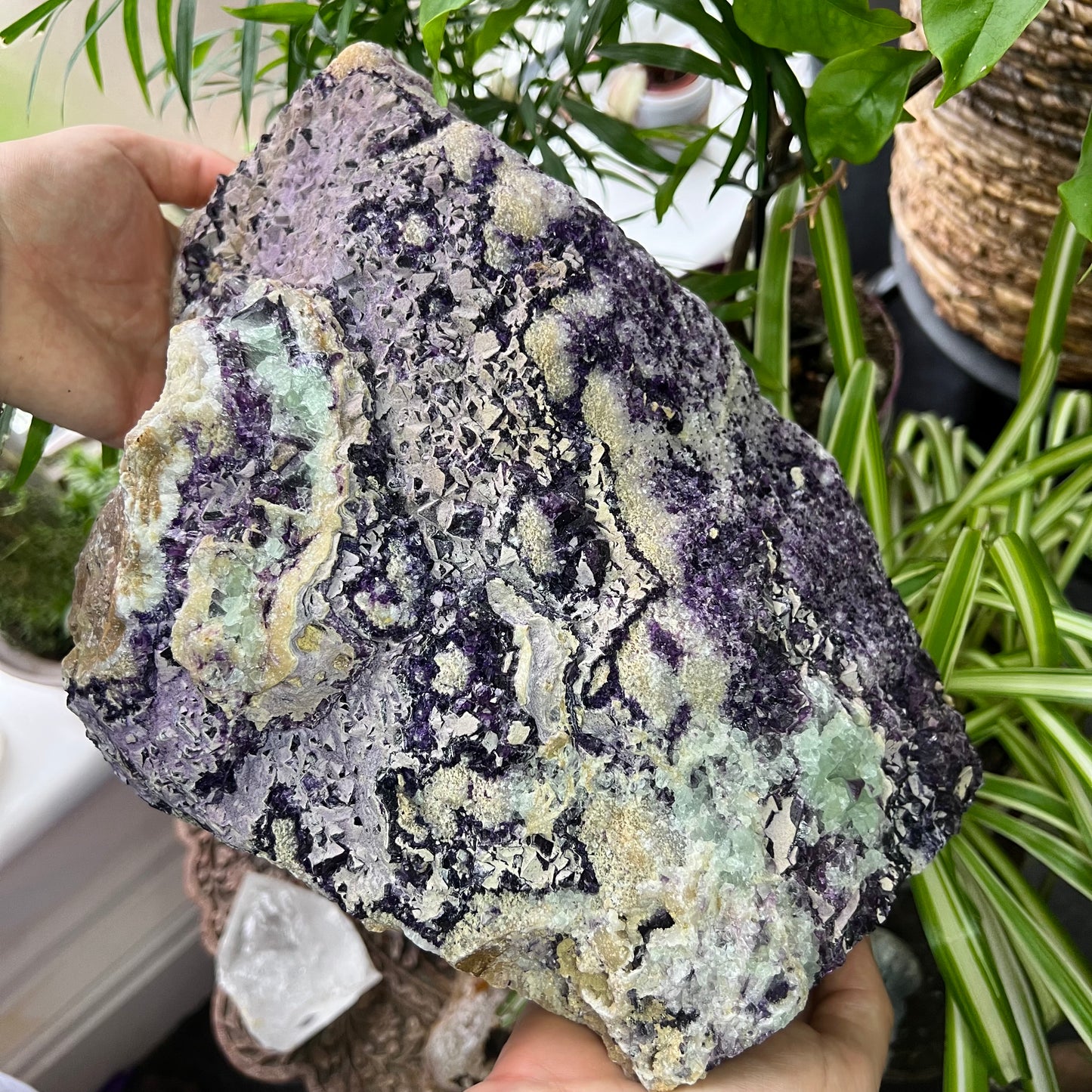 Rare Raw Fluorite High Grade Specimen