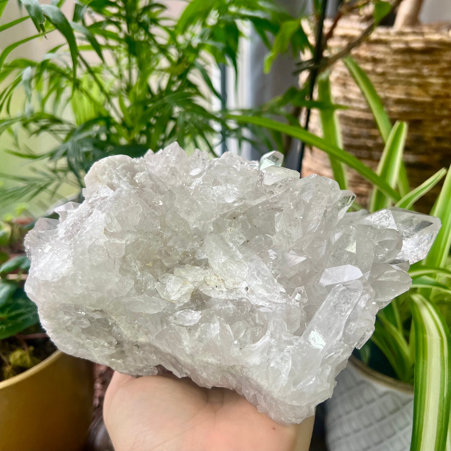 Clear Quartz Brazilian Cluster 1.4kg