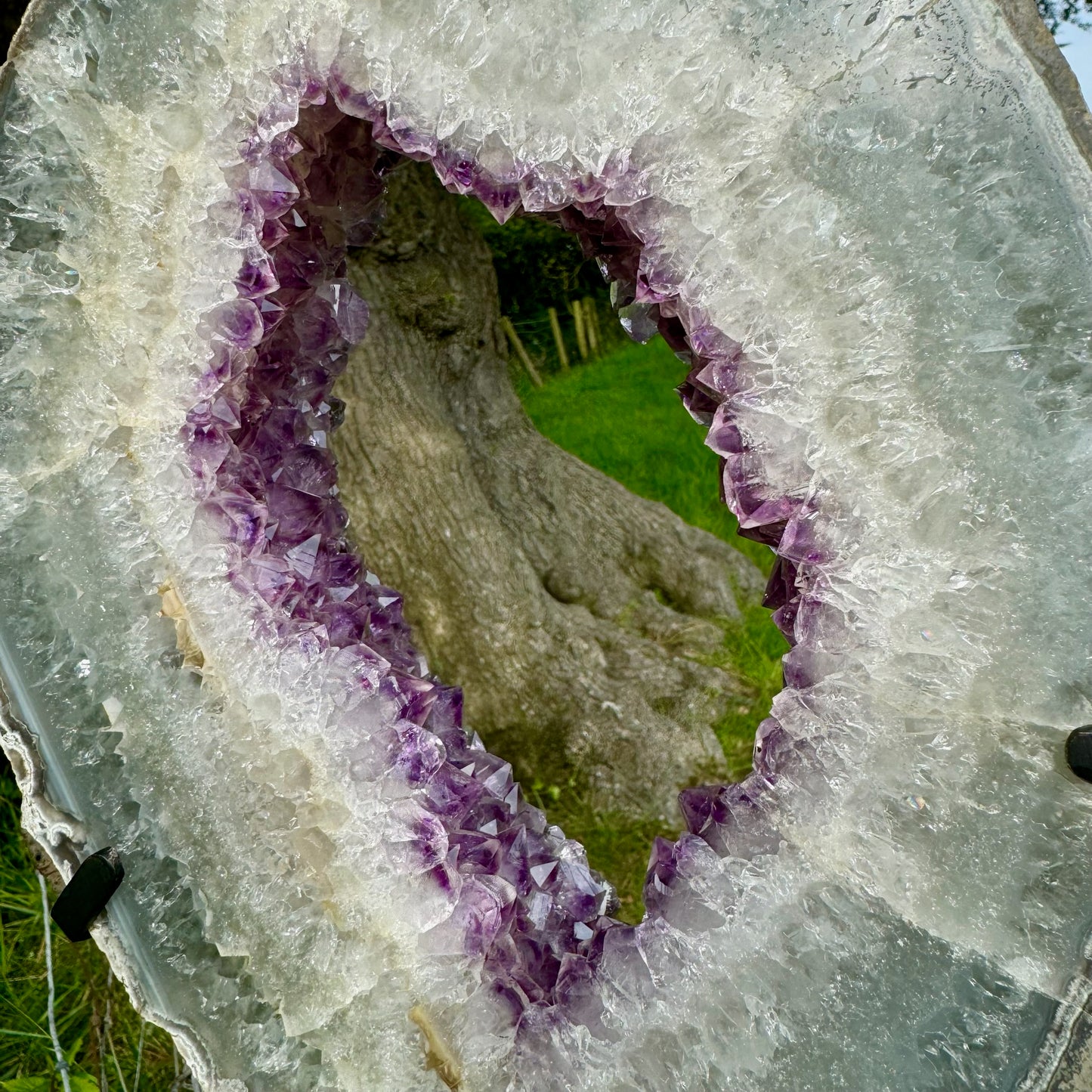 AAA+ Grade Large Polished Amethyst Slice on Steel Stand