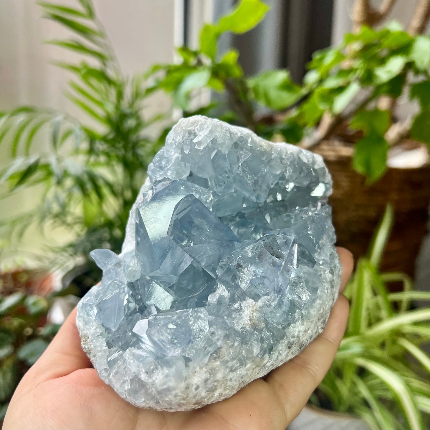 Celestite High Grade Cluster 818g