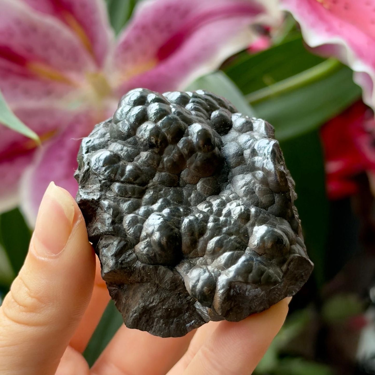 Polished Botryoidal Hematite