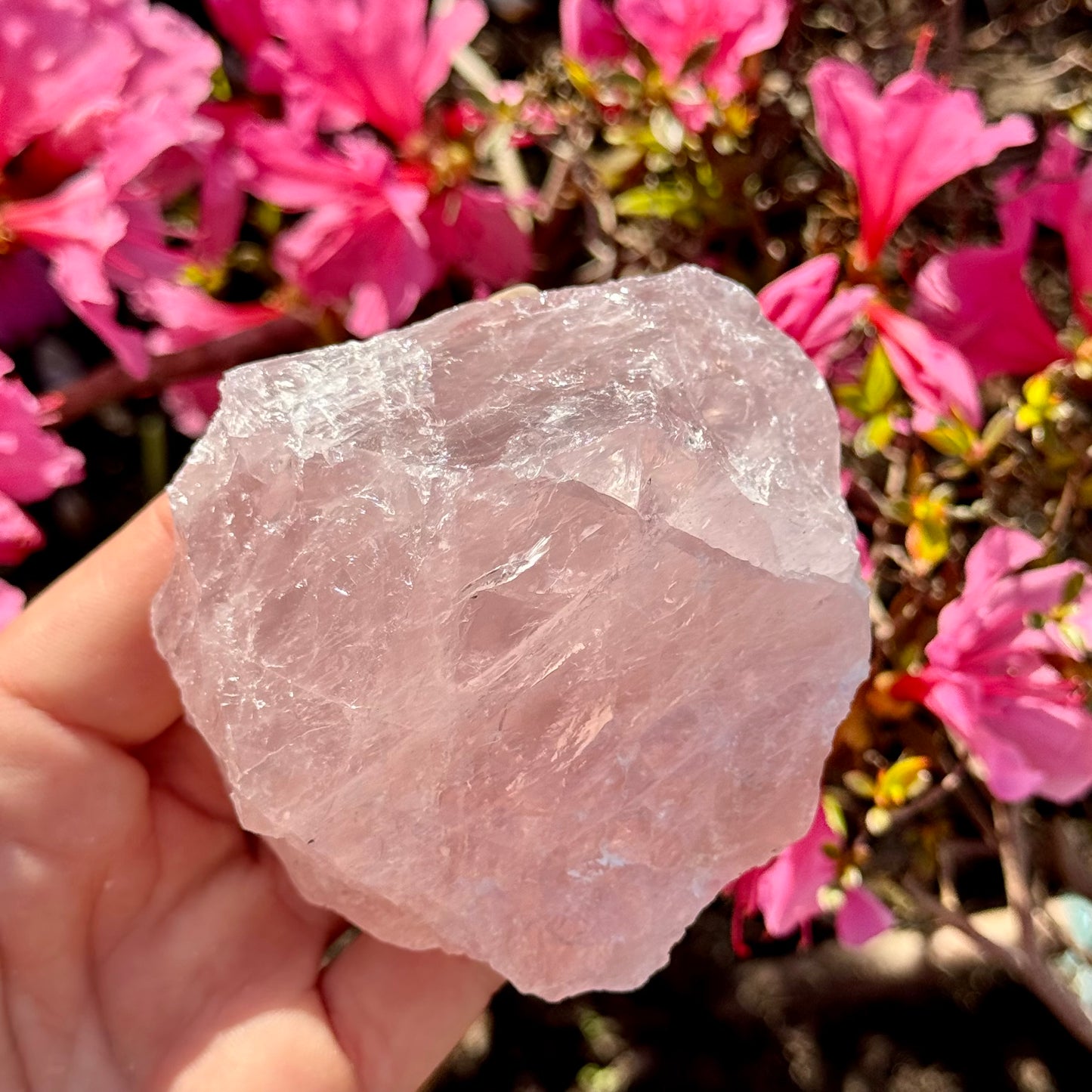 Large Rose Quartz Raw Crystal Chunks