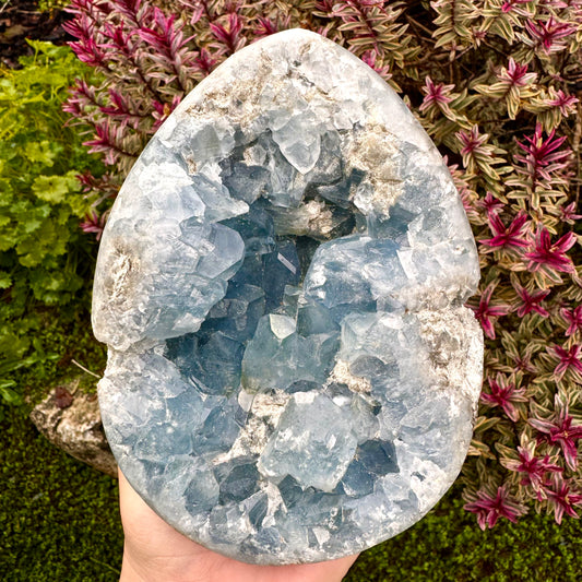 Blue Celestite Crystal Egg - 1.9KG