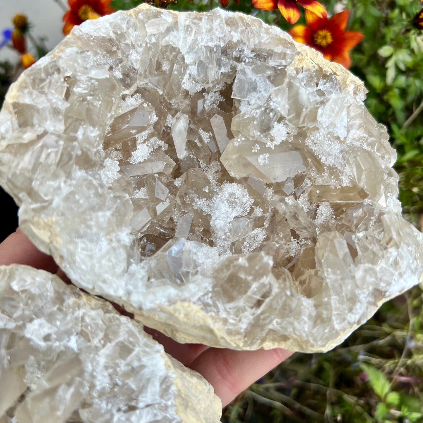 High Grade Quartz Geode Pair 999g