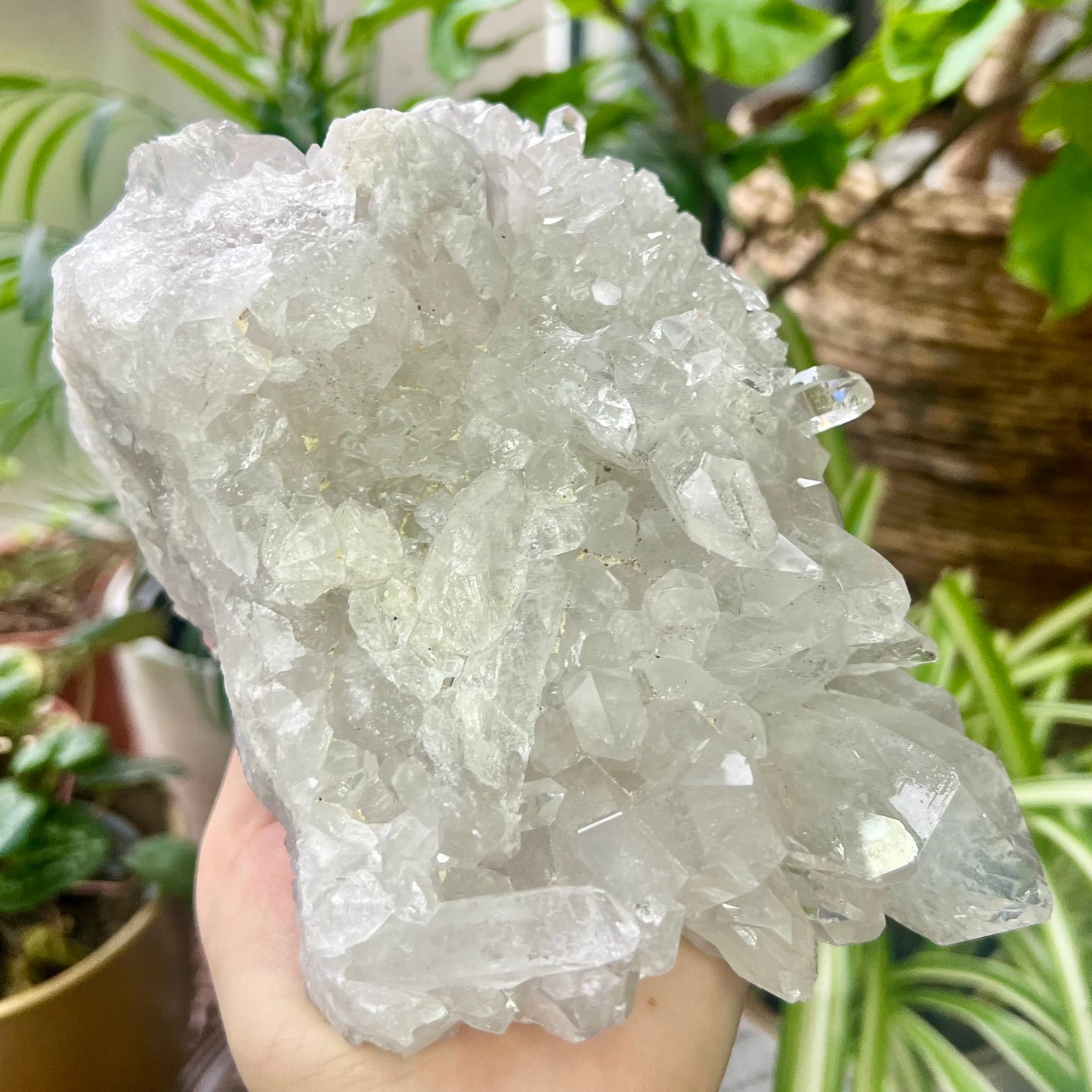 Clear Quartz Brazilian Cluster 1.4kg