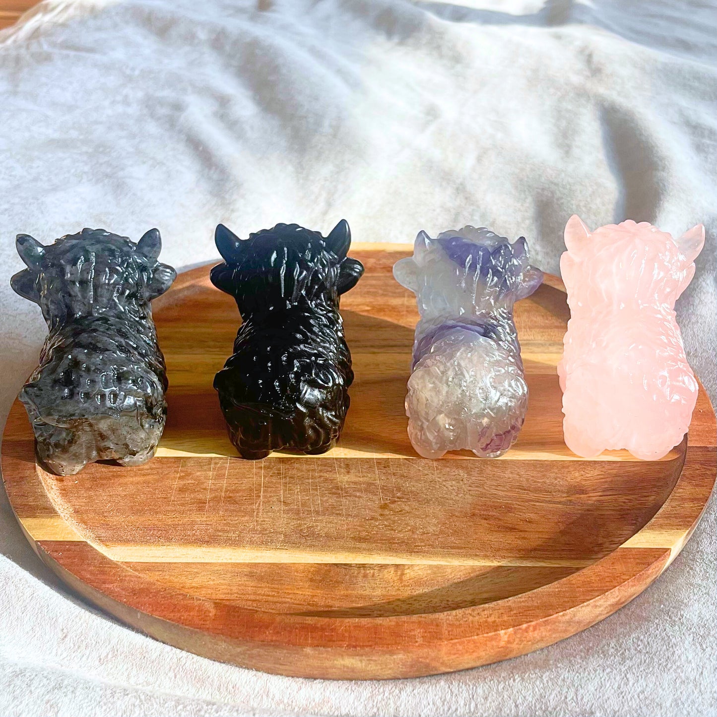 Crystal Highland Cows