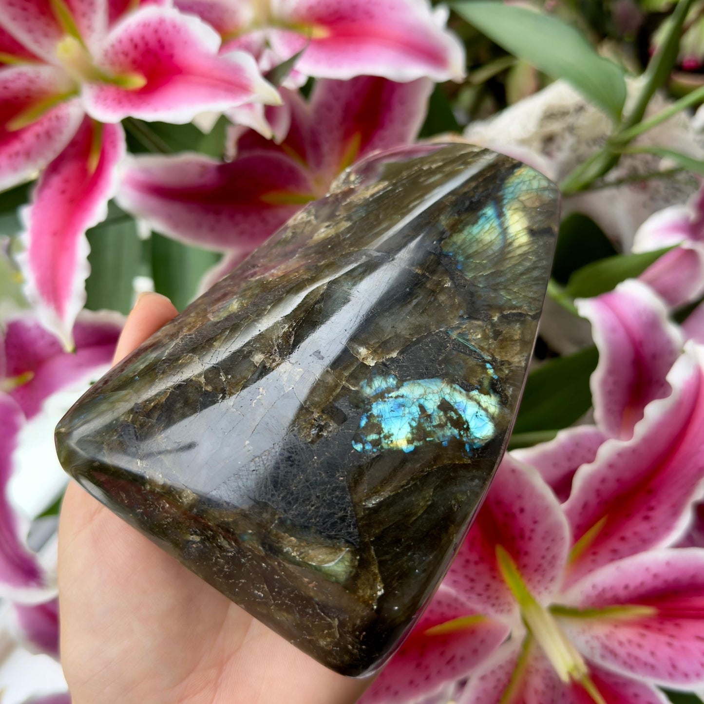 Grade A Labradorite Freeform