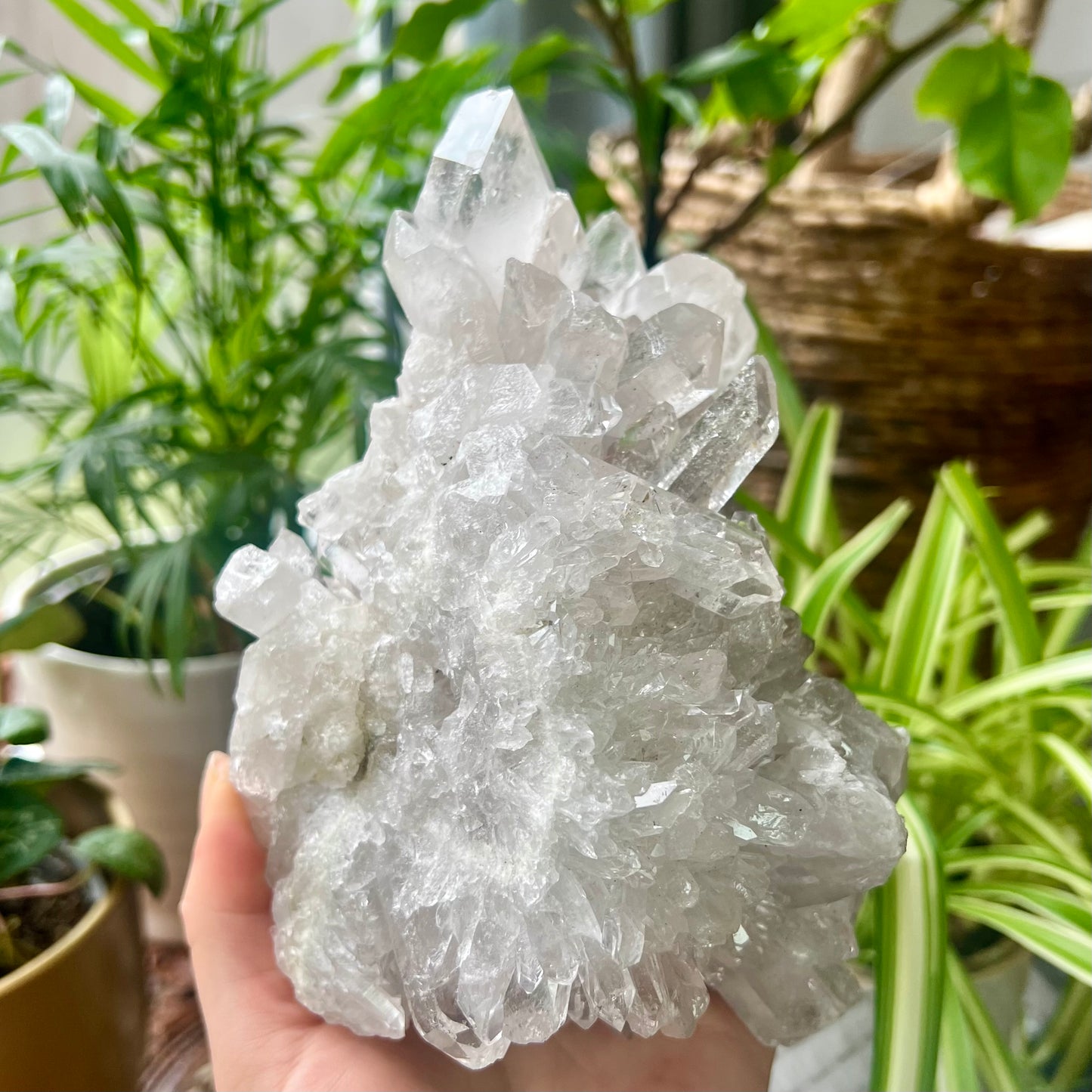 Clear Quartz Brazilian Cluster 1.4kg