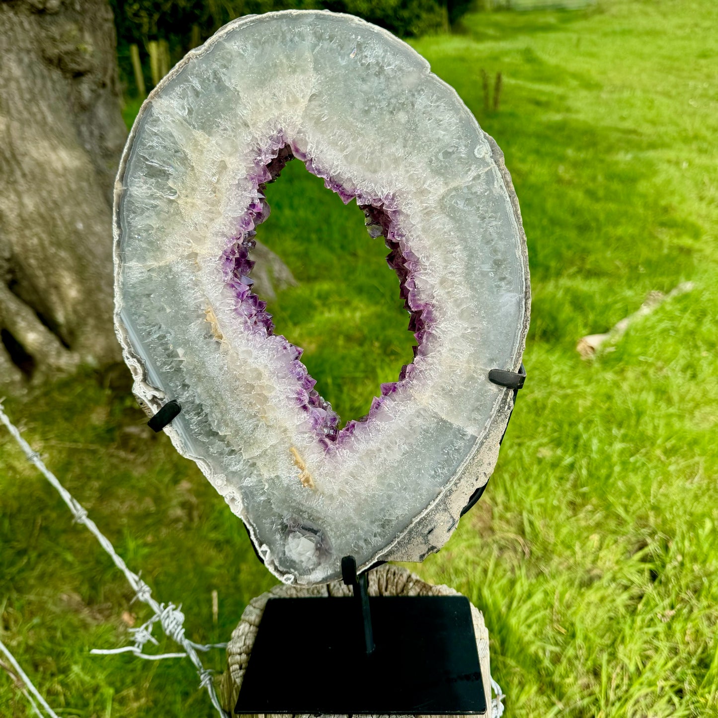 AAA+ Grade Large Polished Amethyst Slice on Steel Stand