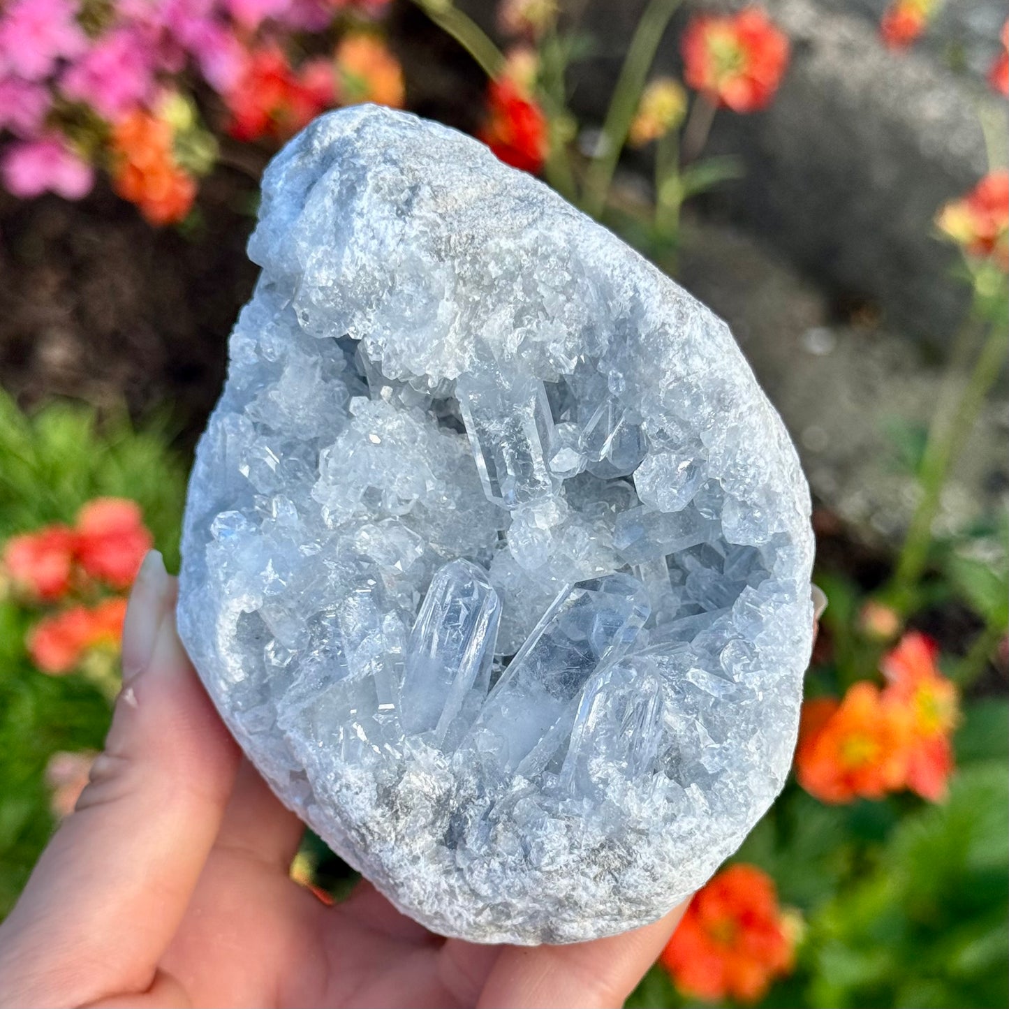 Natural Celestite High Grade Clear Crystal Geode Rare Specimen