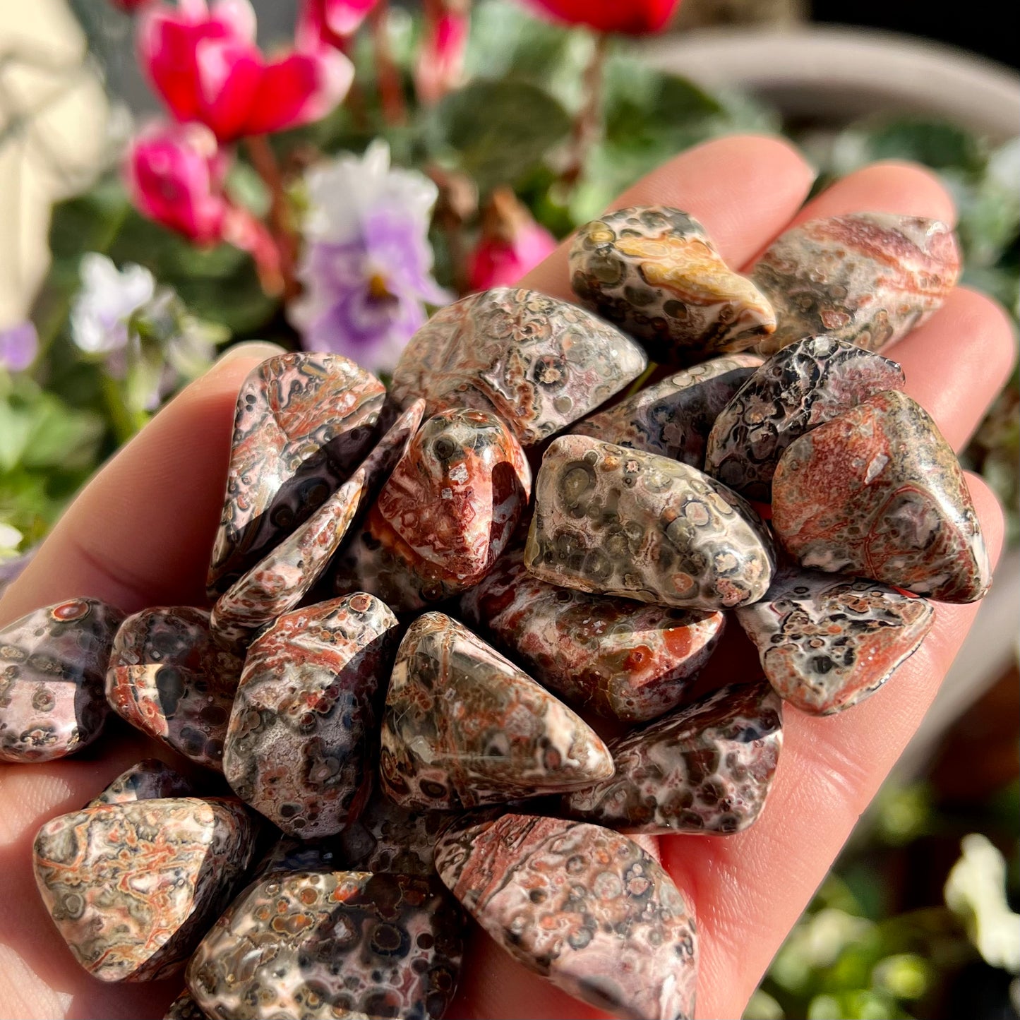 Leopard Skin Jasper Crystal Tumblestone