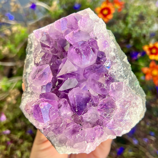 Amethyst Cluster 300g