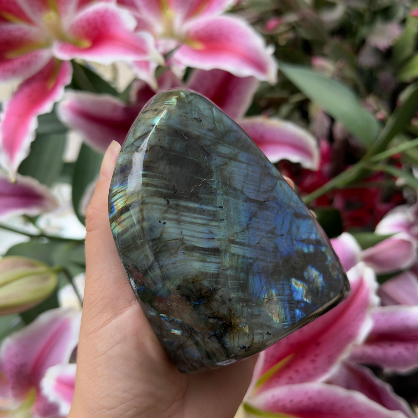 Natural Labradorite Freeform