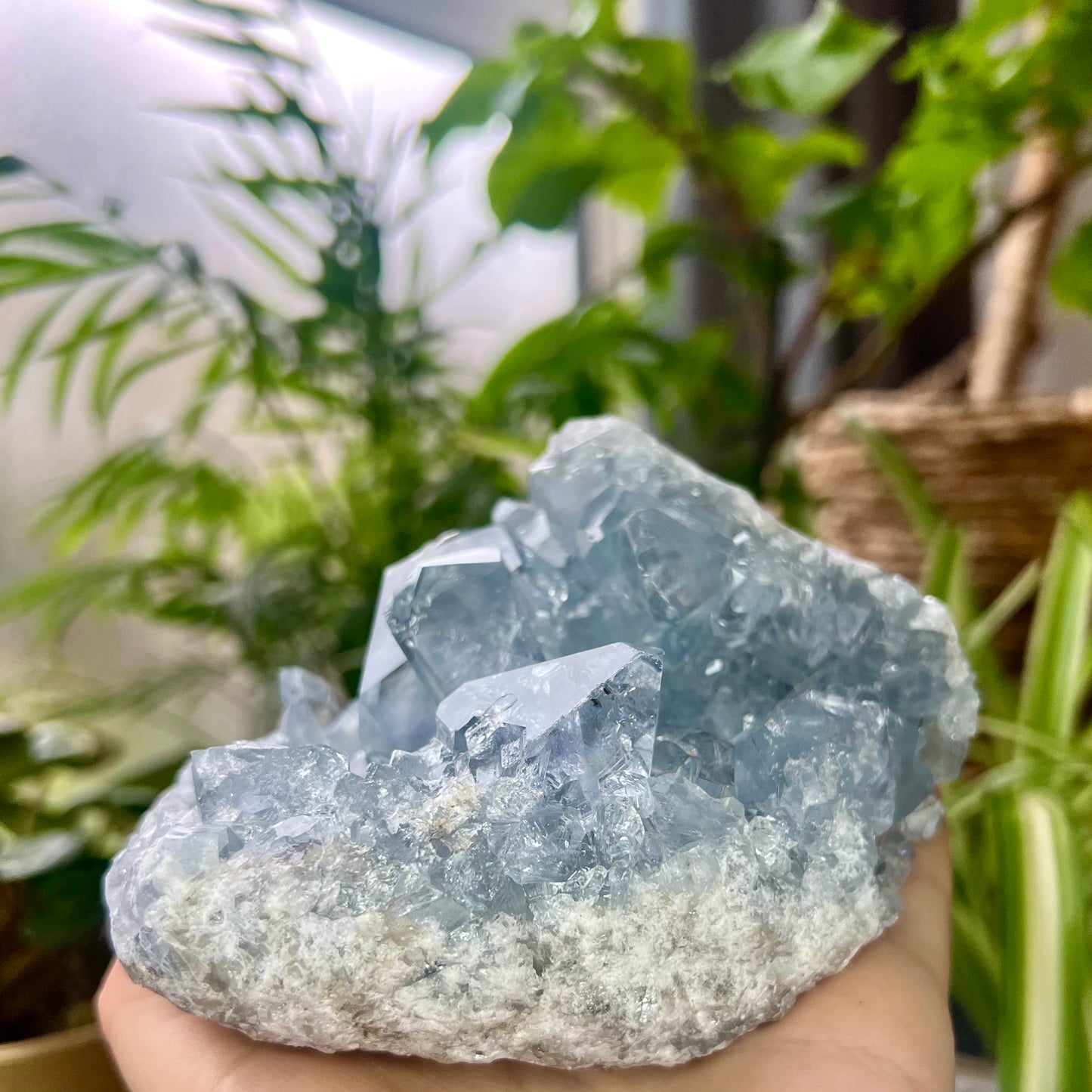 Celestite High Grade Cluster 818g