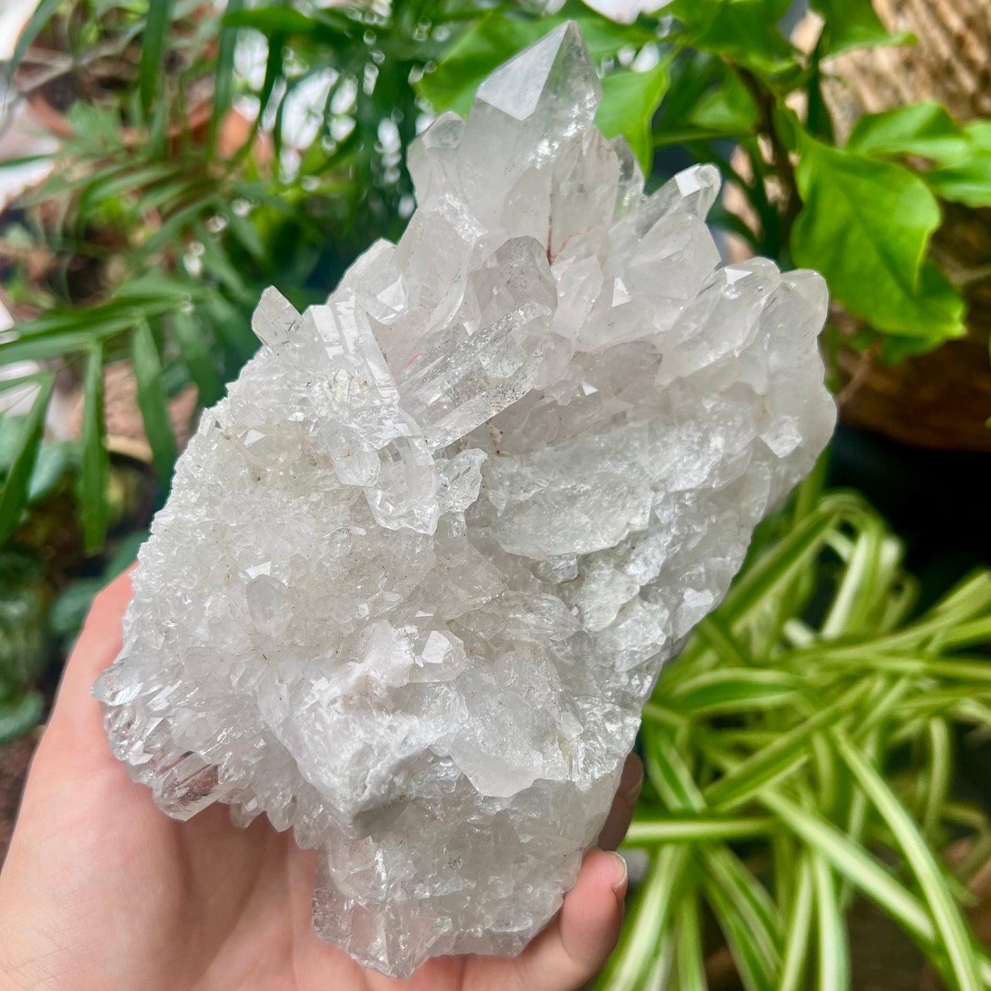 Clear Quartz Brazilian Cluster 1.4kg