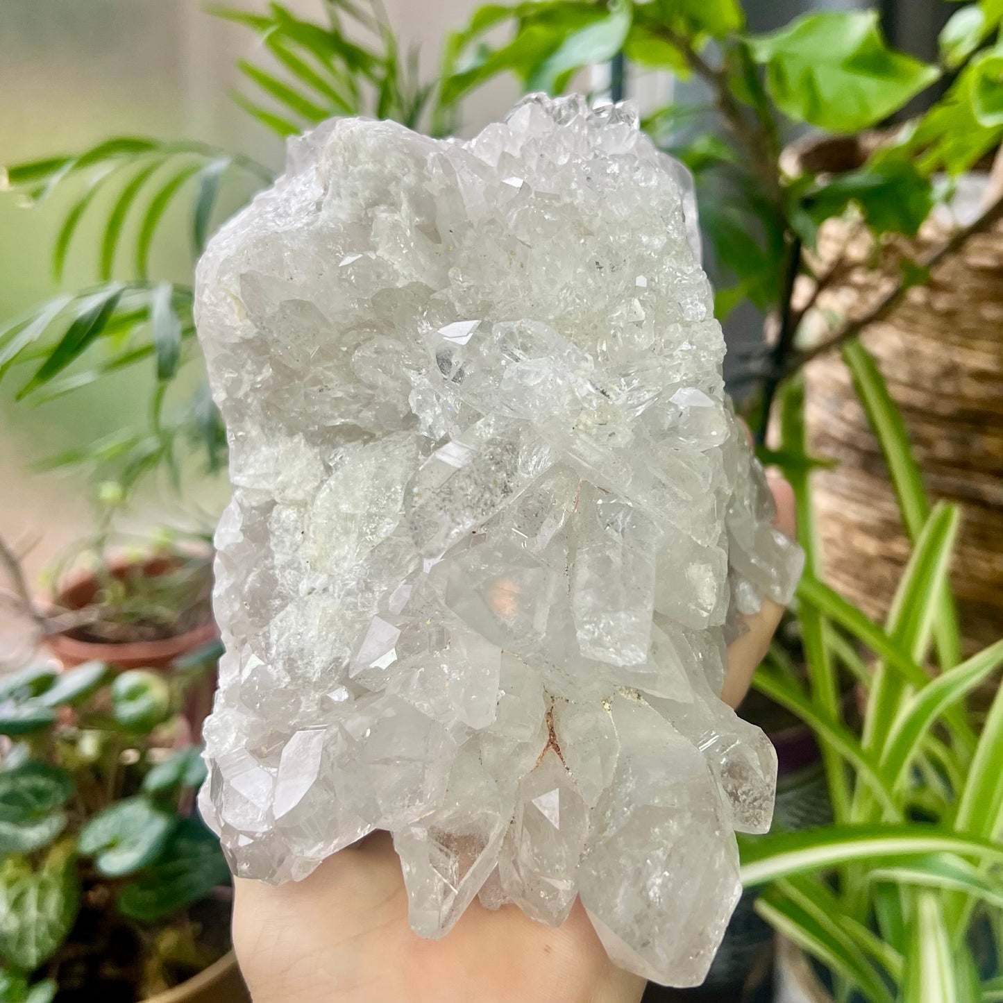 Clear Quartz Brazilian Cluster 1.4kg