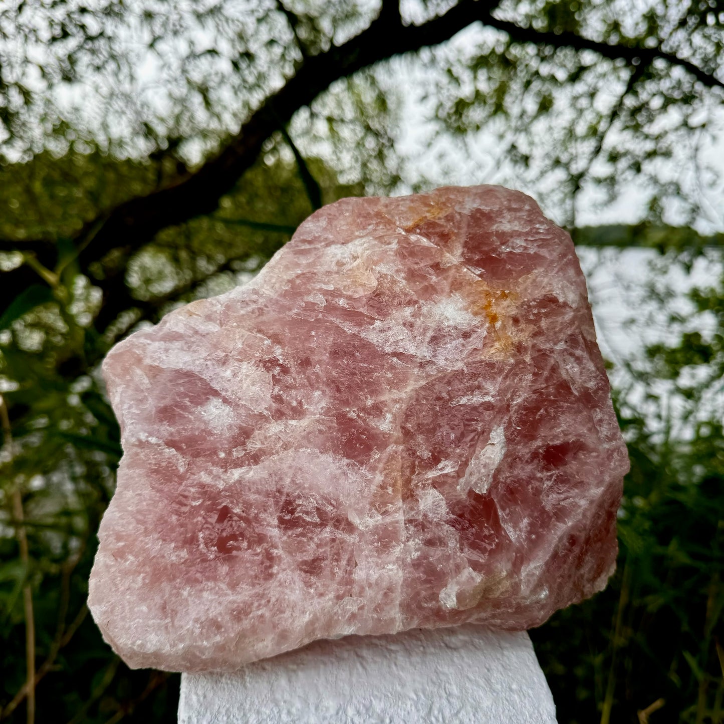 Giant Rose Quartz Rough Crystal