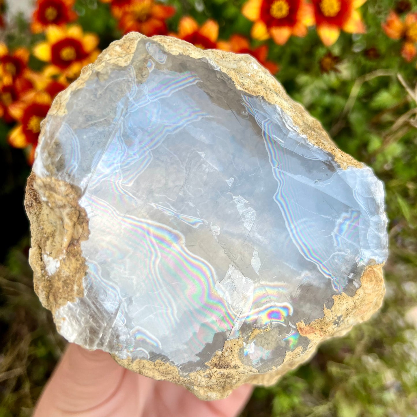 Rare Raw Desert Calcite Geode Slice 577g