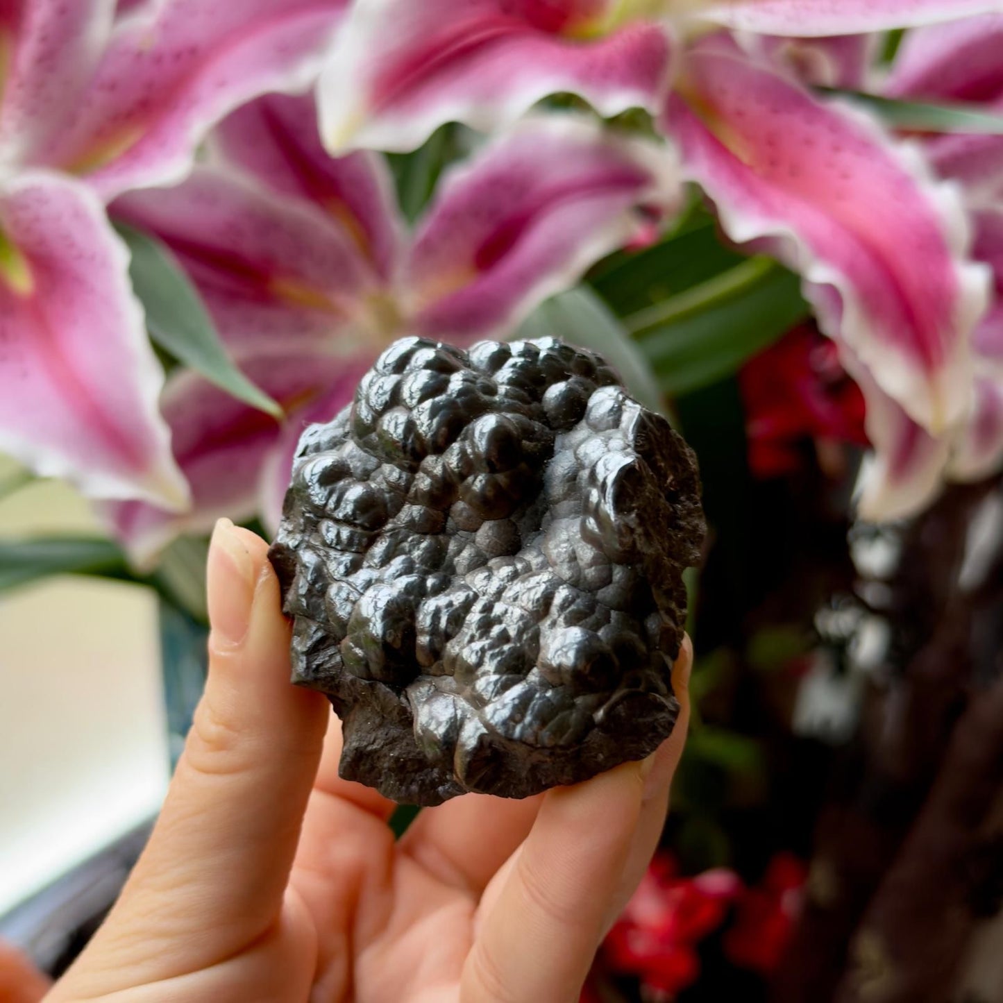 Polished Botryoidal Hematite