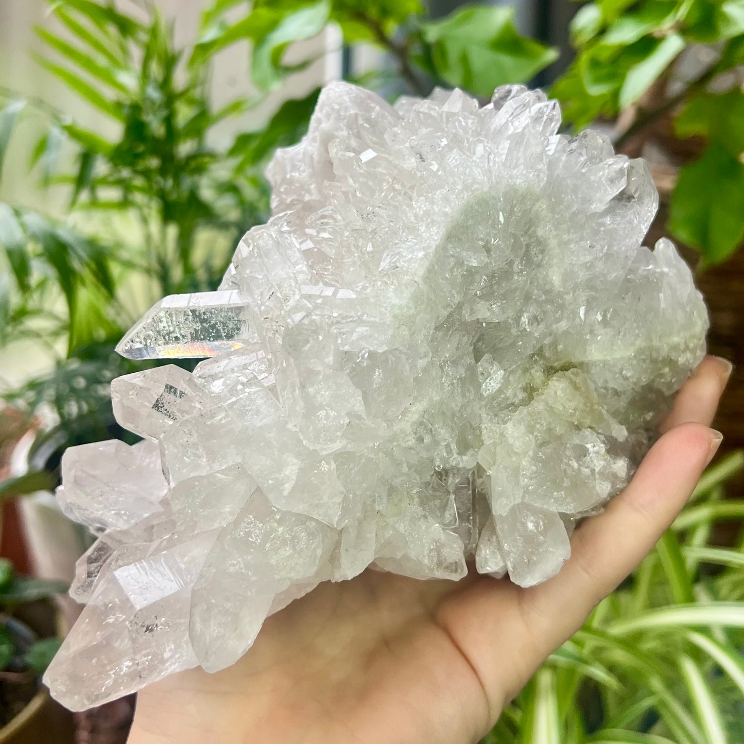 Clear Quartz Brazilian Cluster 1.4kg