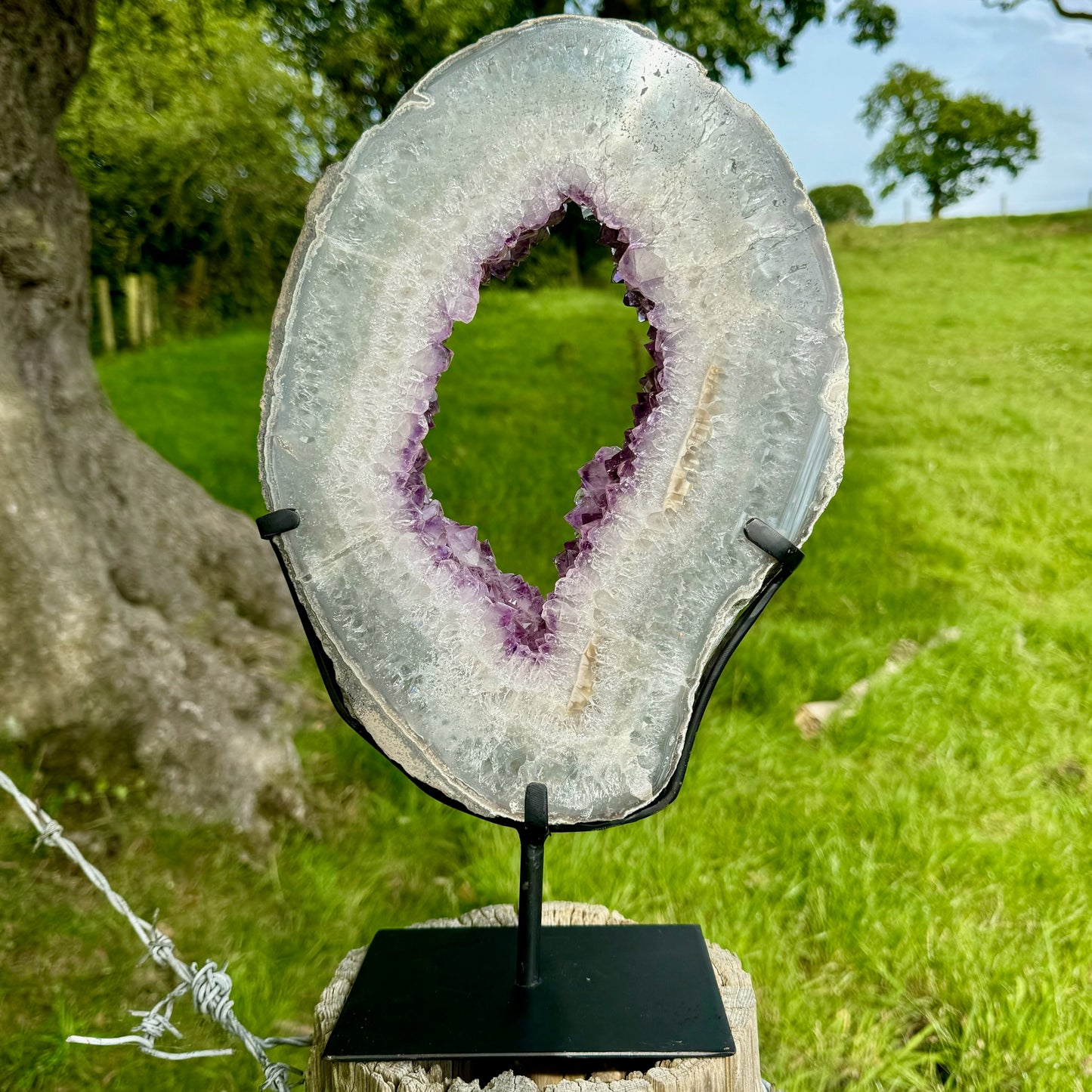 AAA+ Grade Large Polished Amethyst Slice on Steel Stand