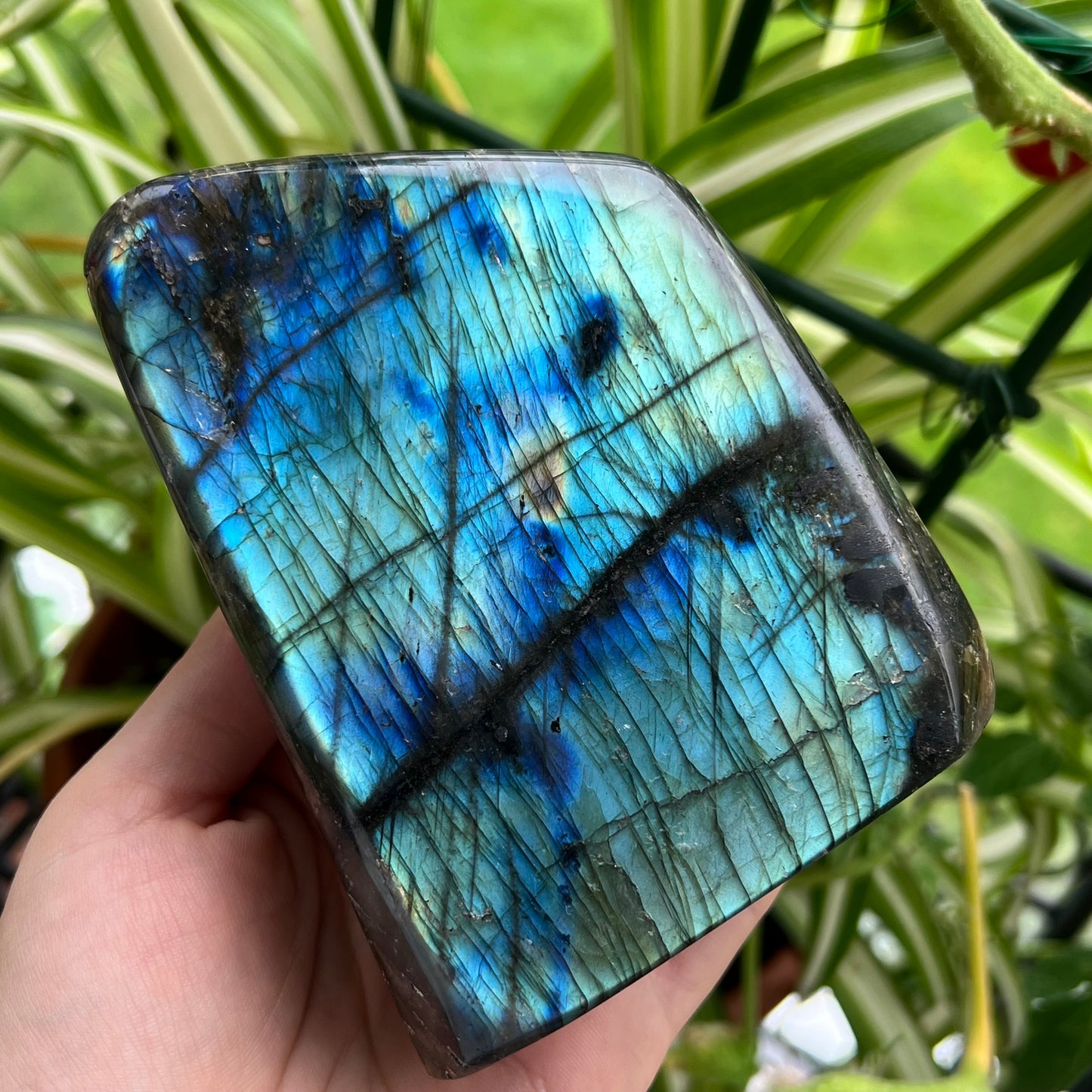 Grade A Labradorite Freeform