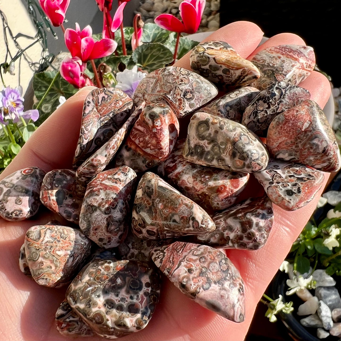 Leopard Skin Jasper Crystal Tumblestone