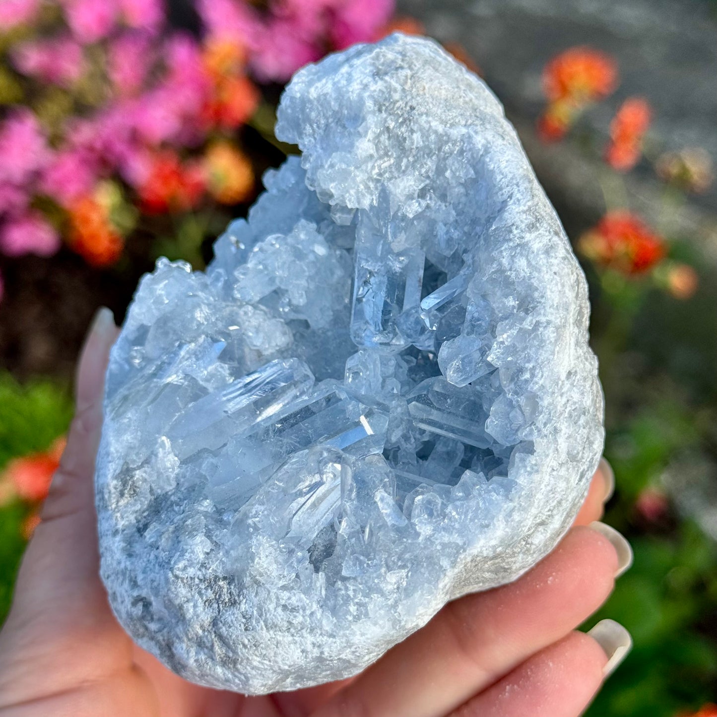 Natural Celestite High Grade Clear Crystal Geode Rare Specimen