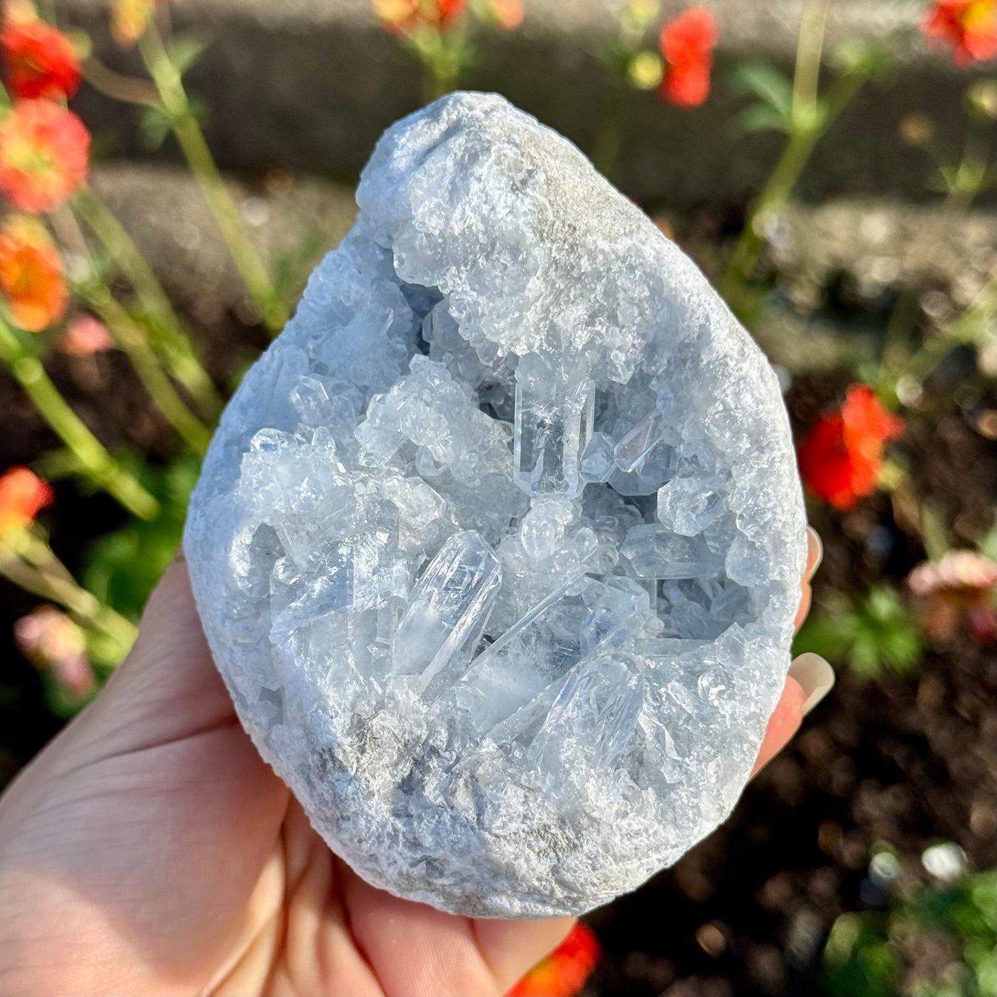 Natural Celestite High Grade Clear Crystal Geode Rare Specimen