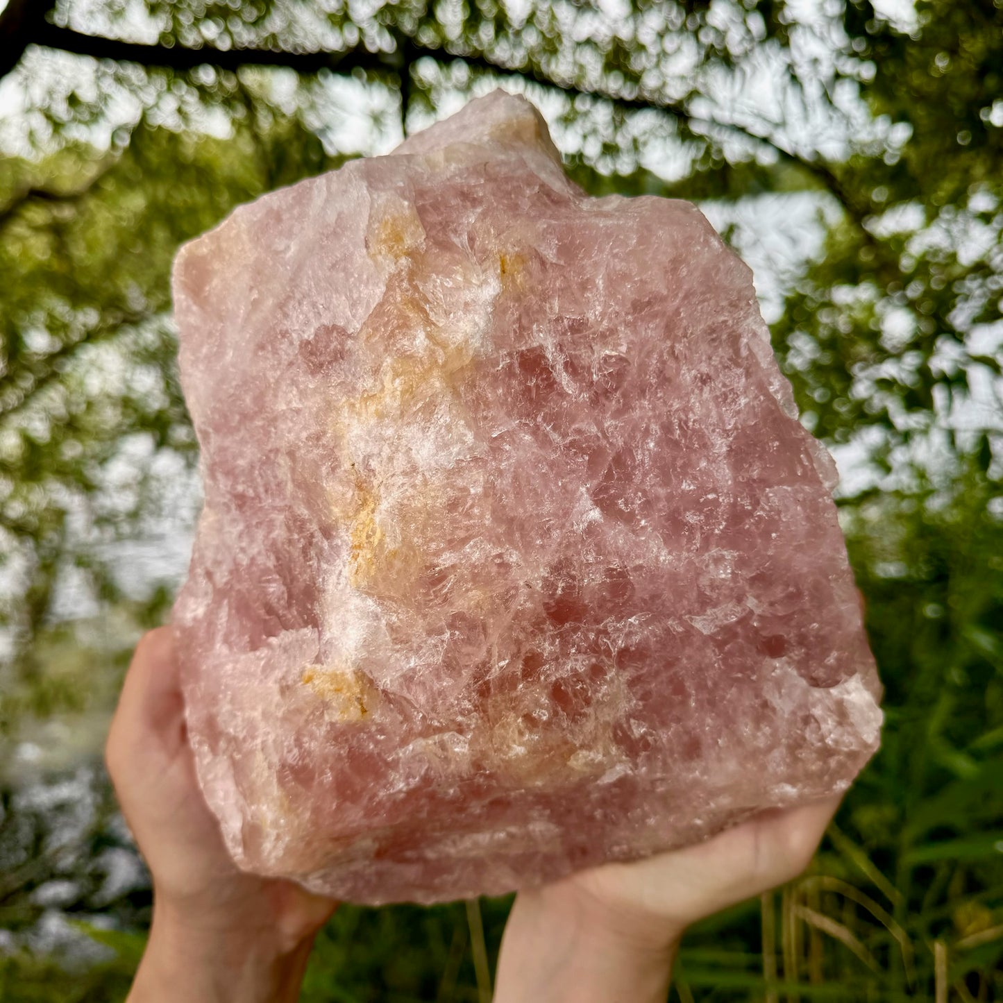 Giant Rose Quartz Rough Crystal