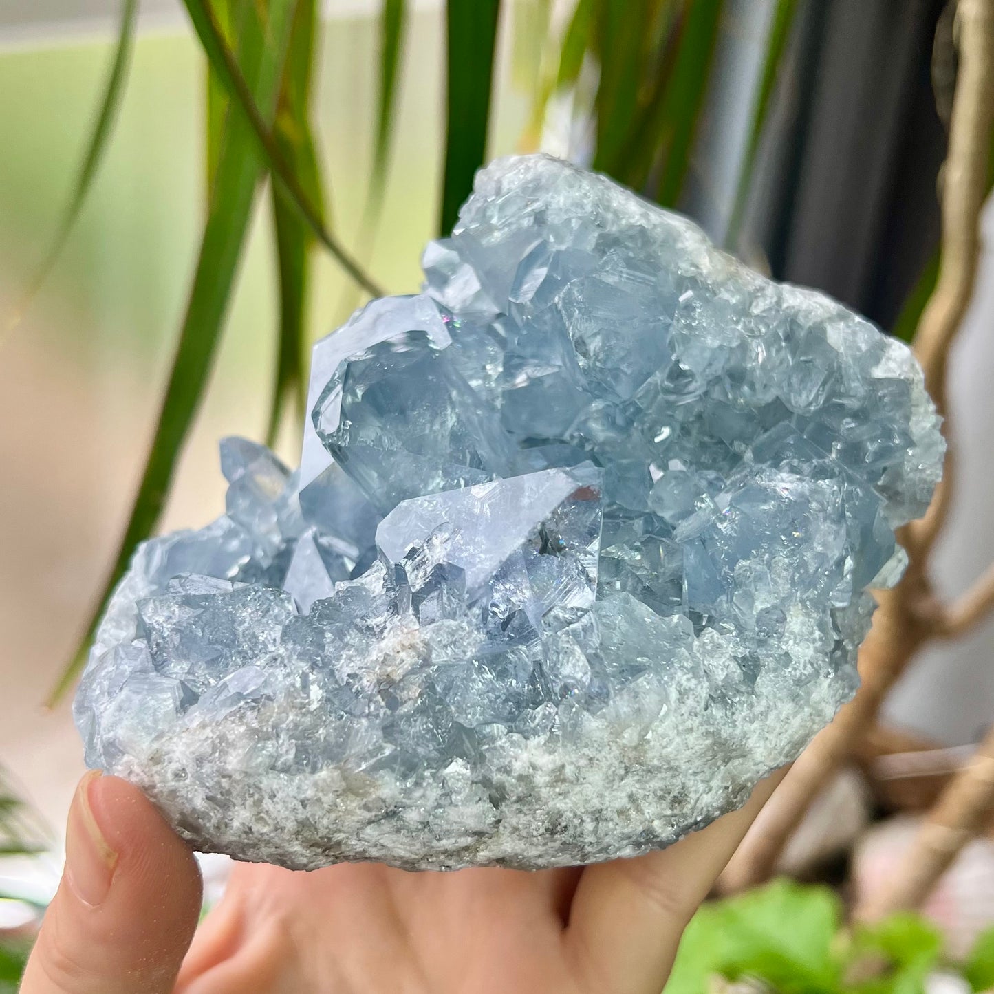 Celestite High Grade Cluster 818g