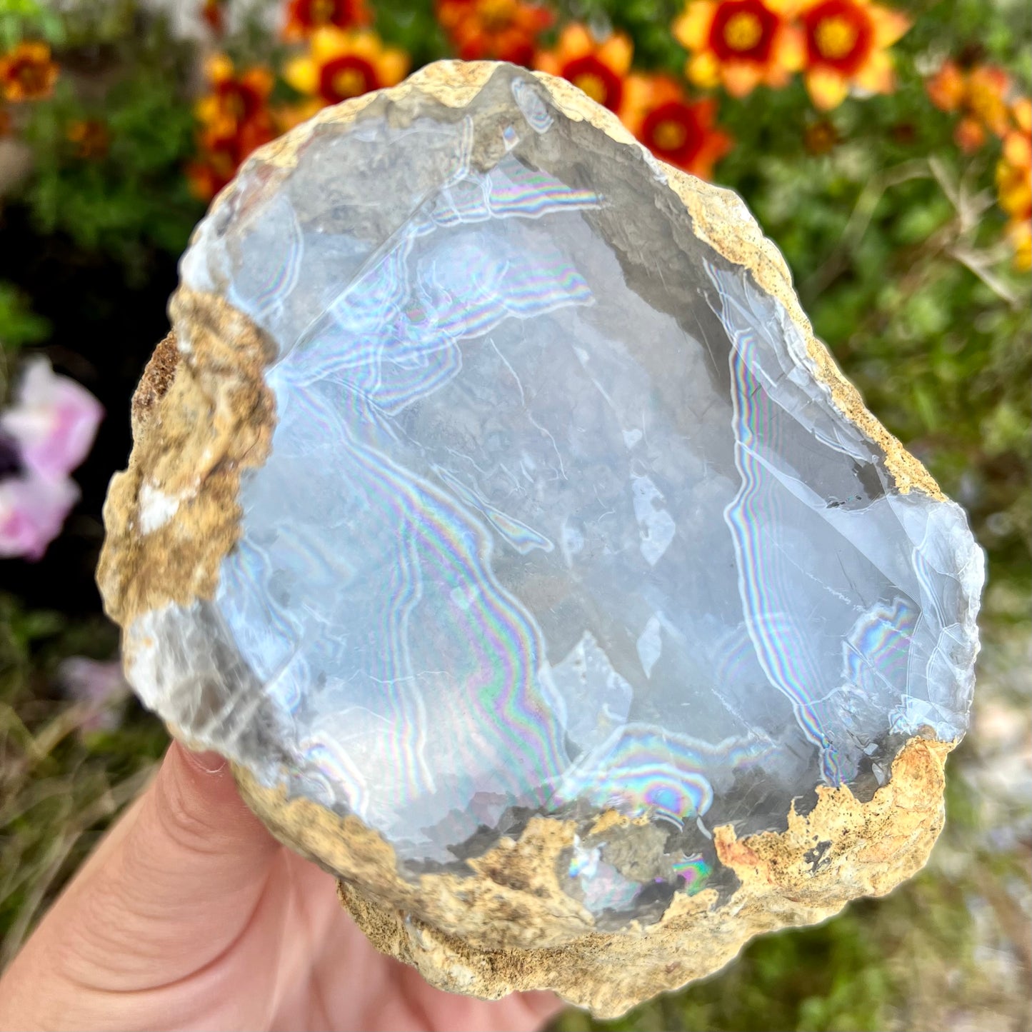 Rare Raw Desert Calcite Geode Slice 577g