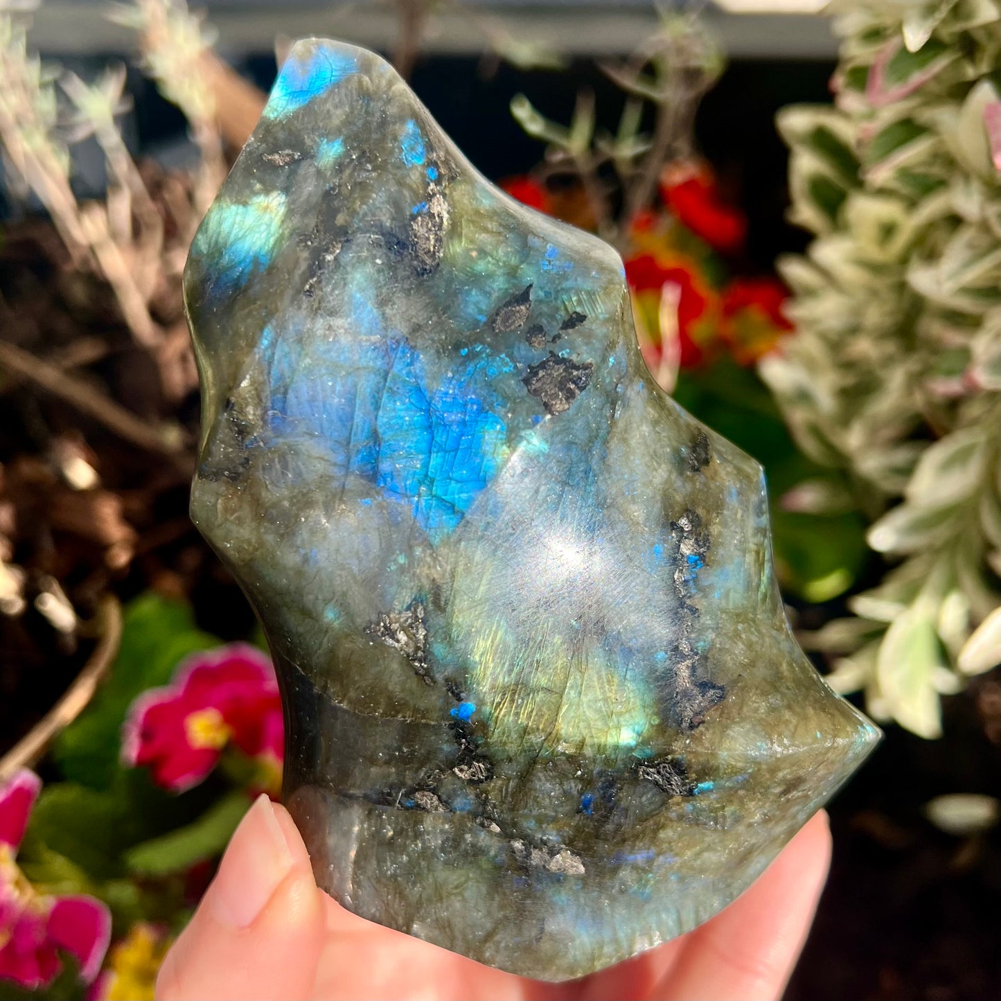 High Quality Labradorite Flame with Flash