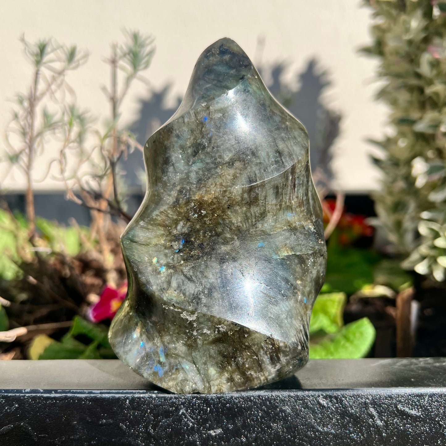 High Quality Labradorite Flame with Flash