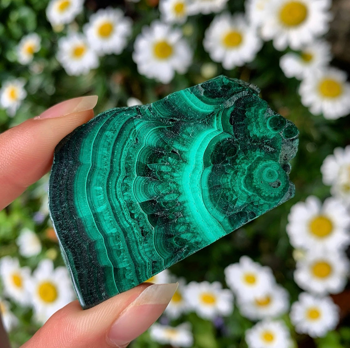 High Grade Malachite Slabs