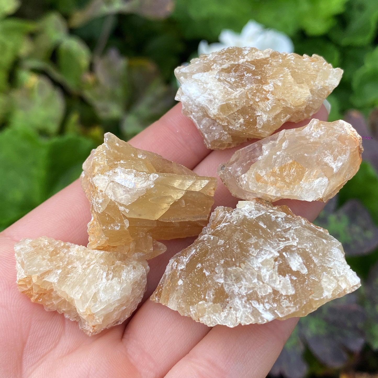 Mini Honey Calcite Rough Crystal