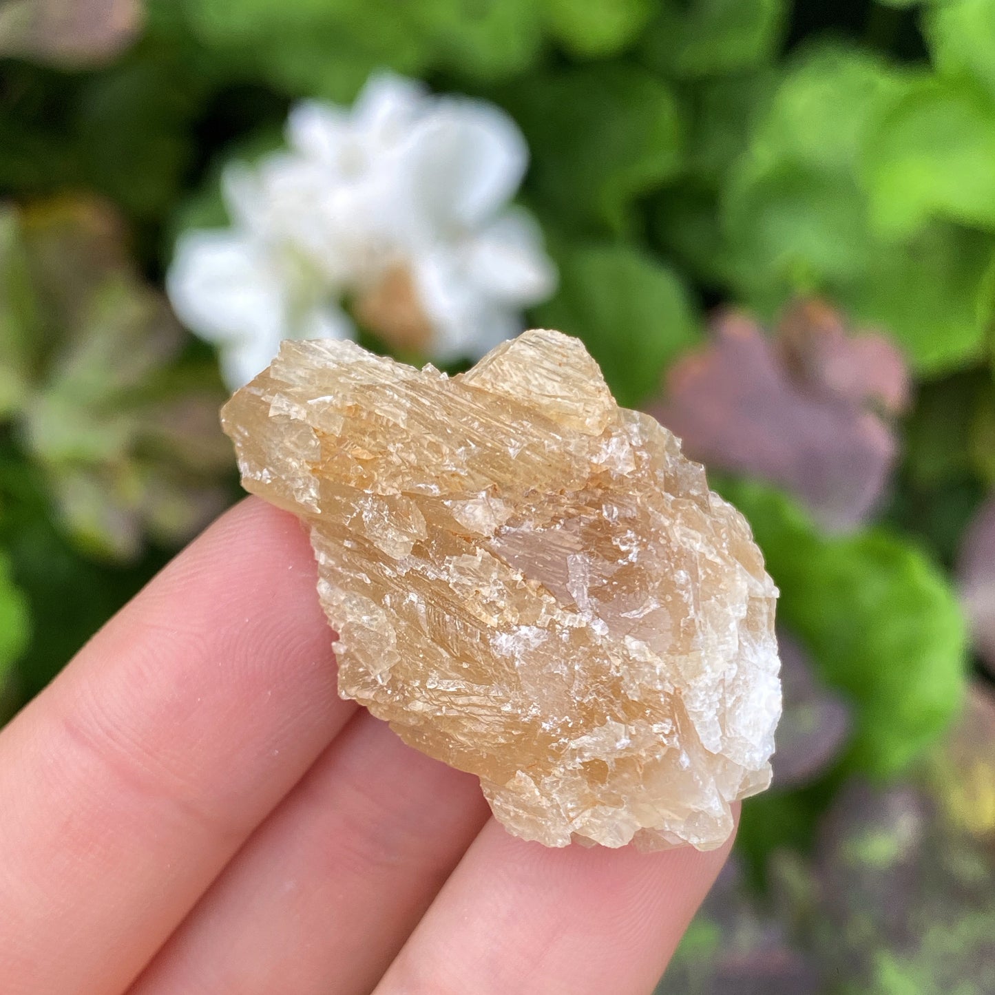 Mini Honey Calcite Rough Crystal