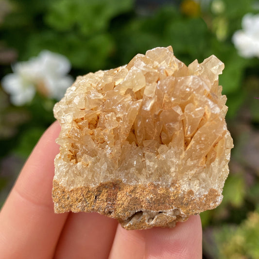 Portuguese Raw Honey Calcite #13