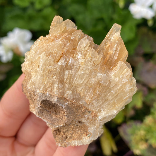 Portuguese Raw Honey Calcite #10