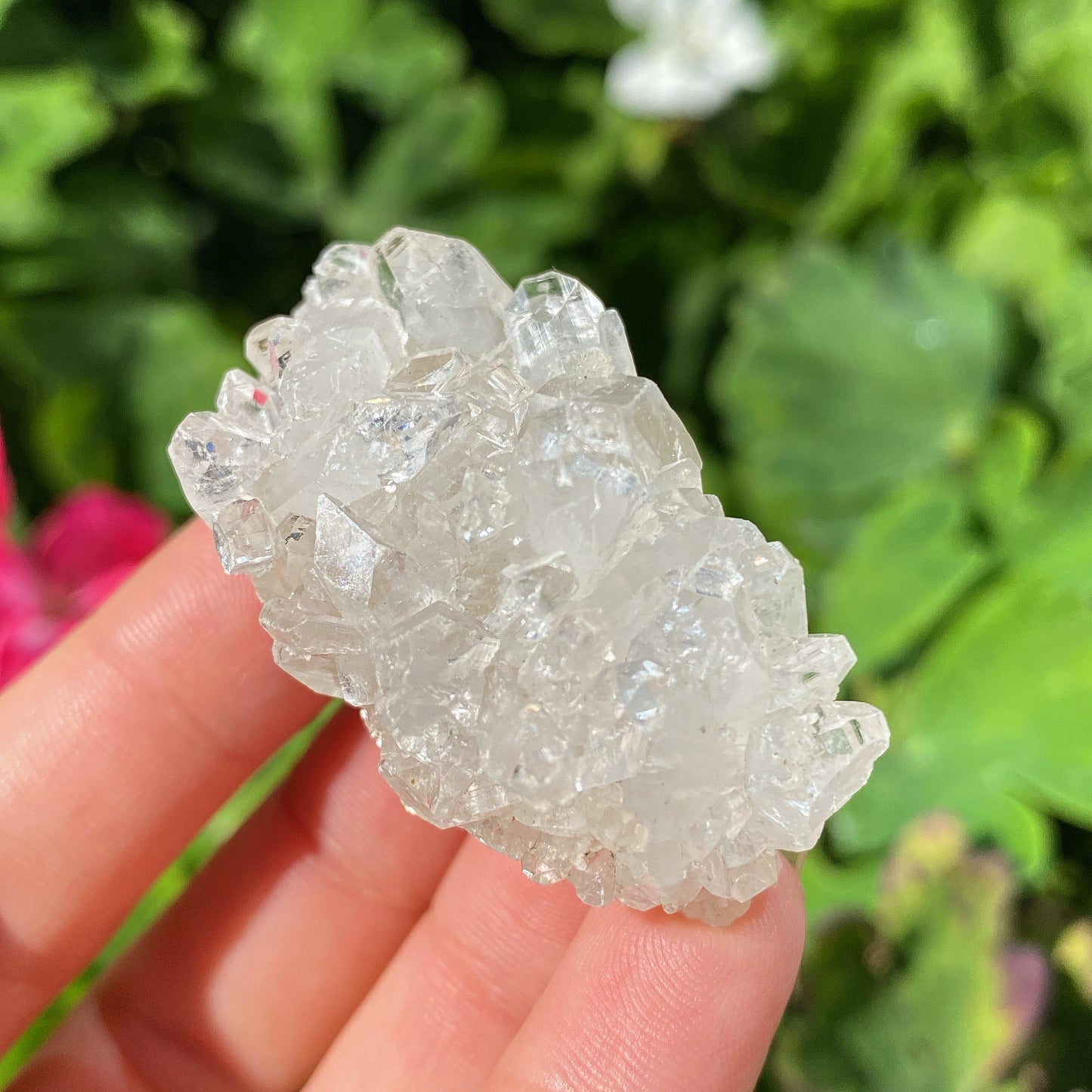 Apophyllite Crystal Clusters