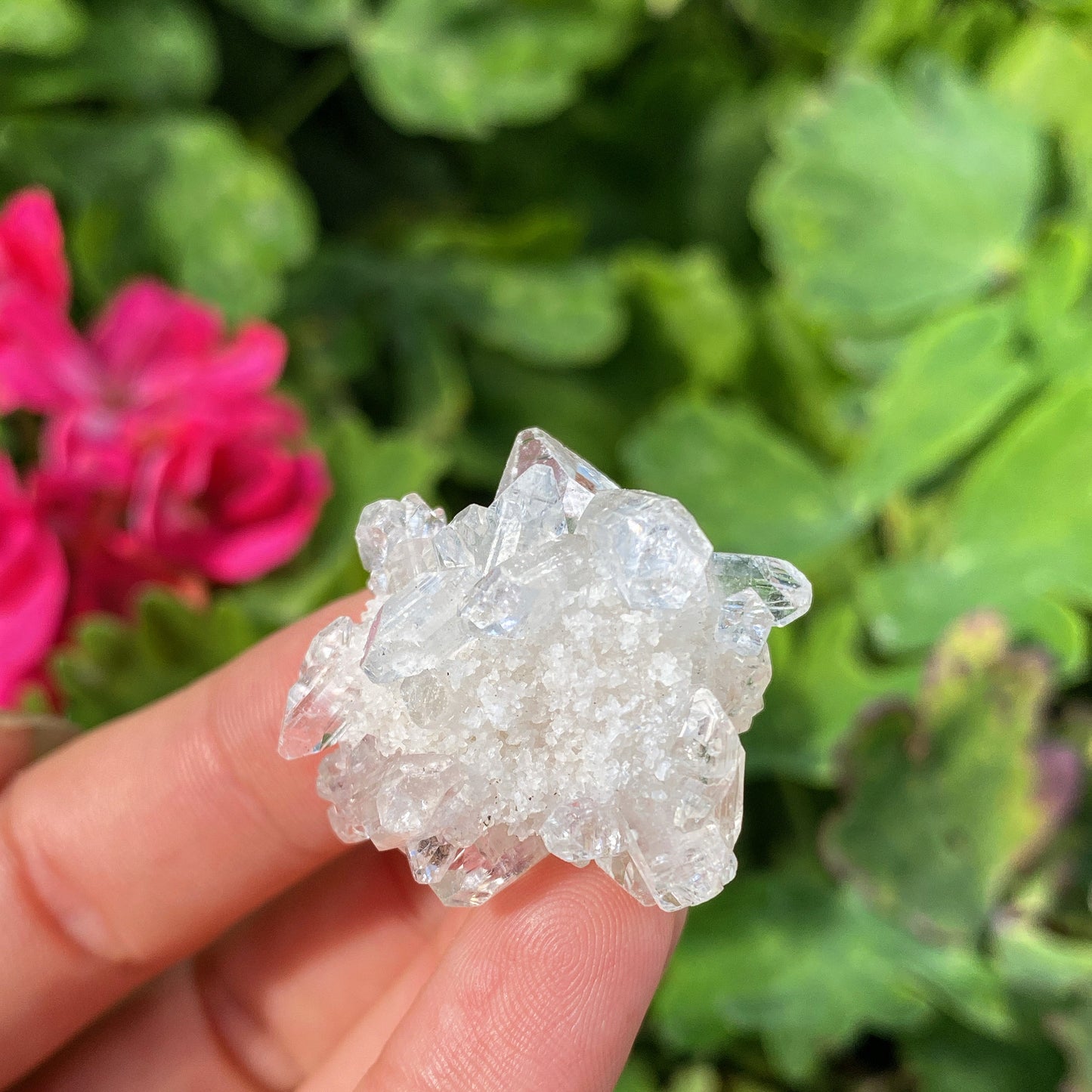 Apophyllite Crystal Clusters