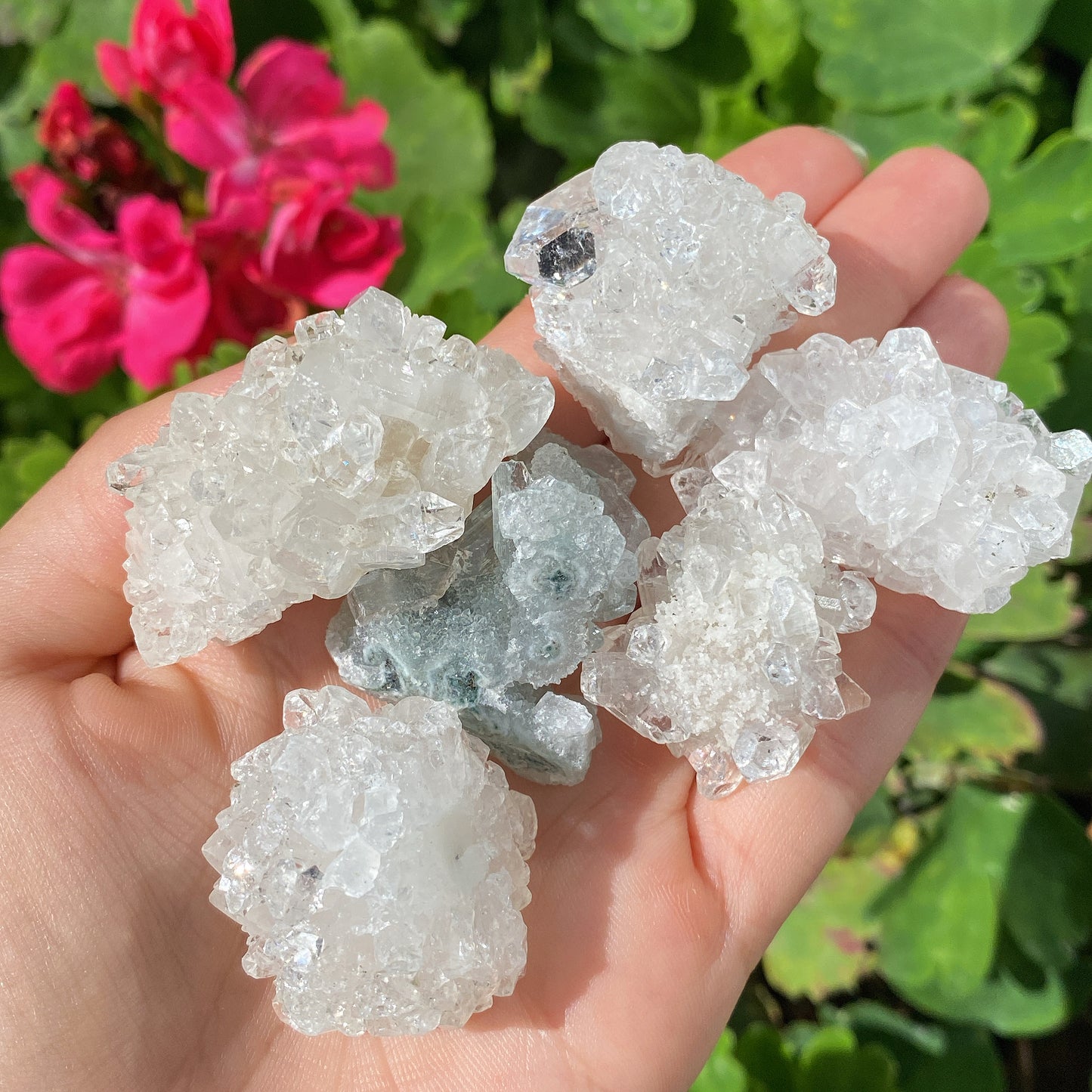 Apophyllite Crystal Clusters