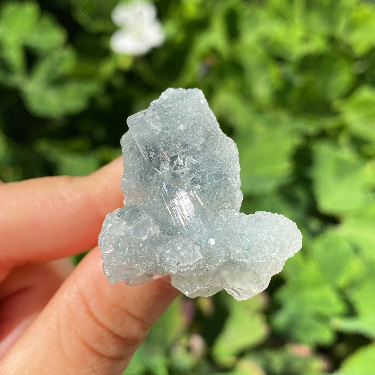 Apophyllite Crystal Clusters