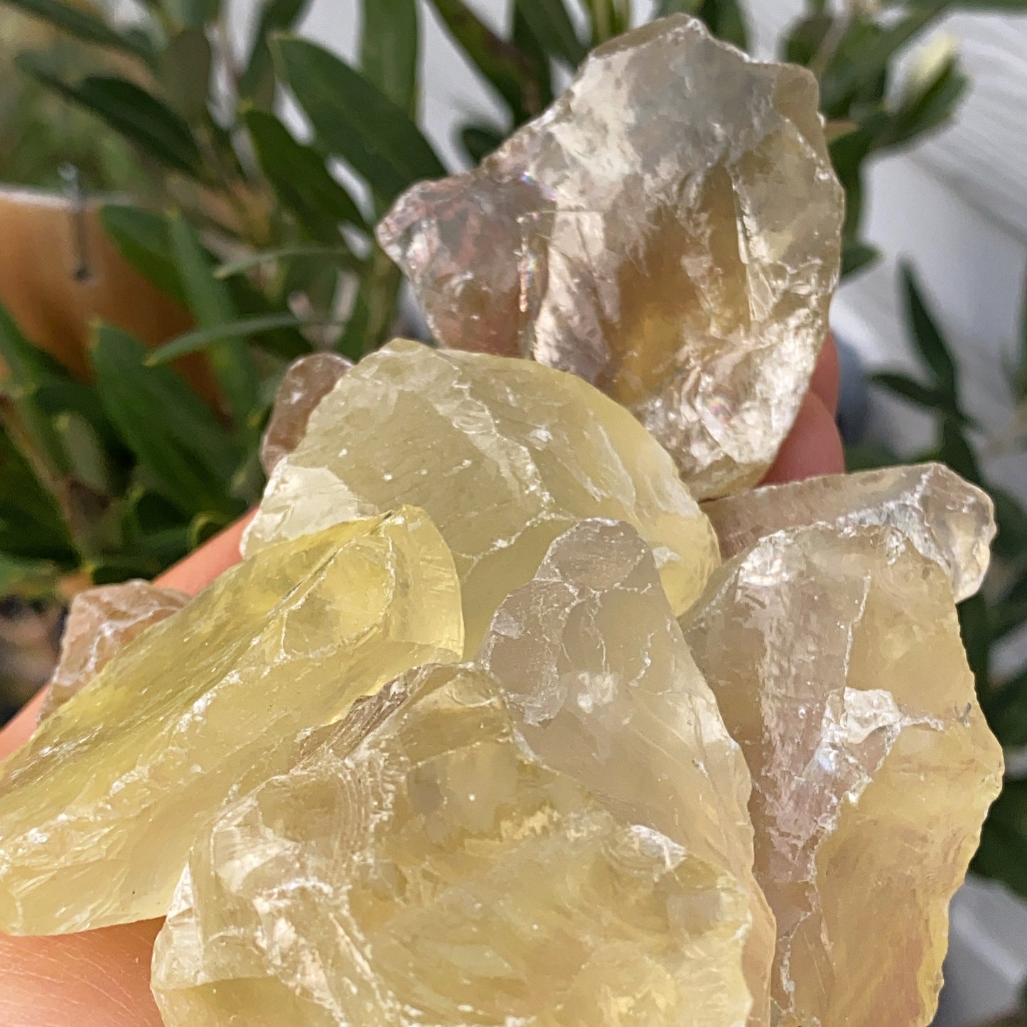 Citrine Rough Crystal