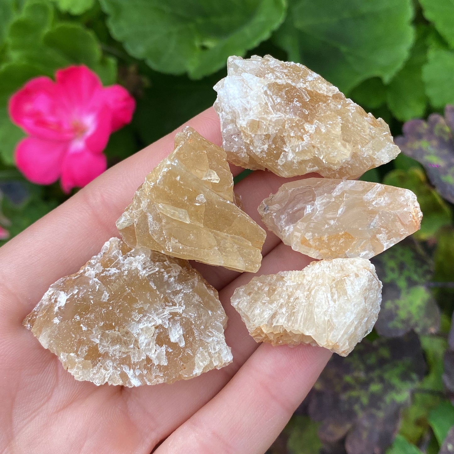 Mini Honey Calcite Rough Crystal