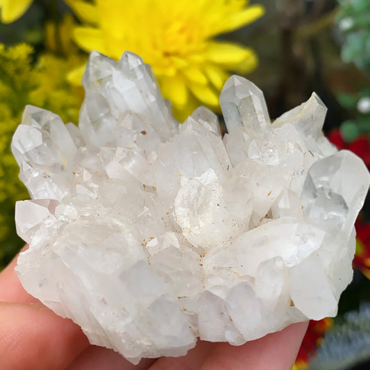 Enchanted Clear Quartz Point Cluster 1 - 130g