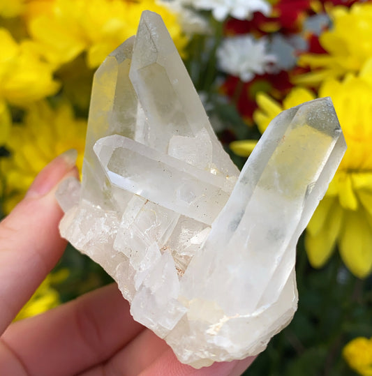 Enchanted Clear Quartz Point Cluster 2 - 102g